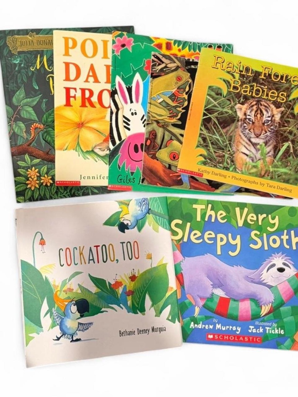 Rainforest Theme Children’s 7 Book Bundle